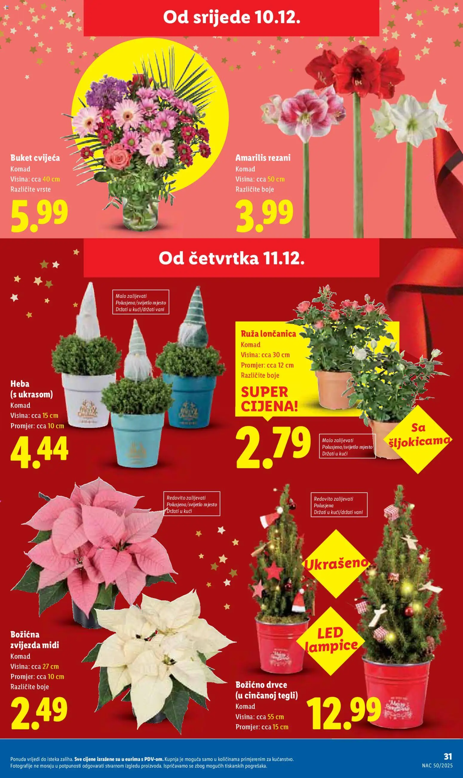 Lidl katalog | vrijedi od 11.12.2025 | Stranica: 31