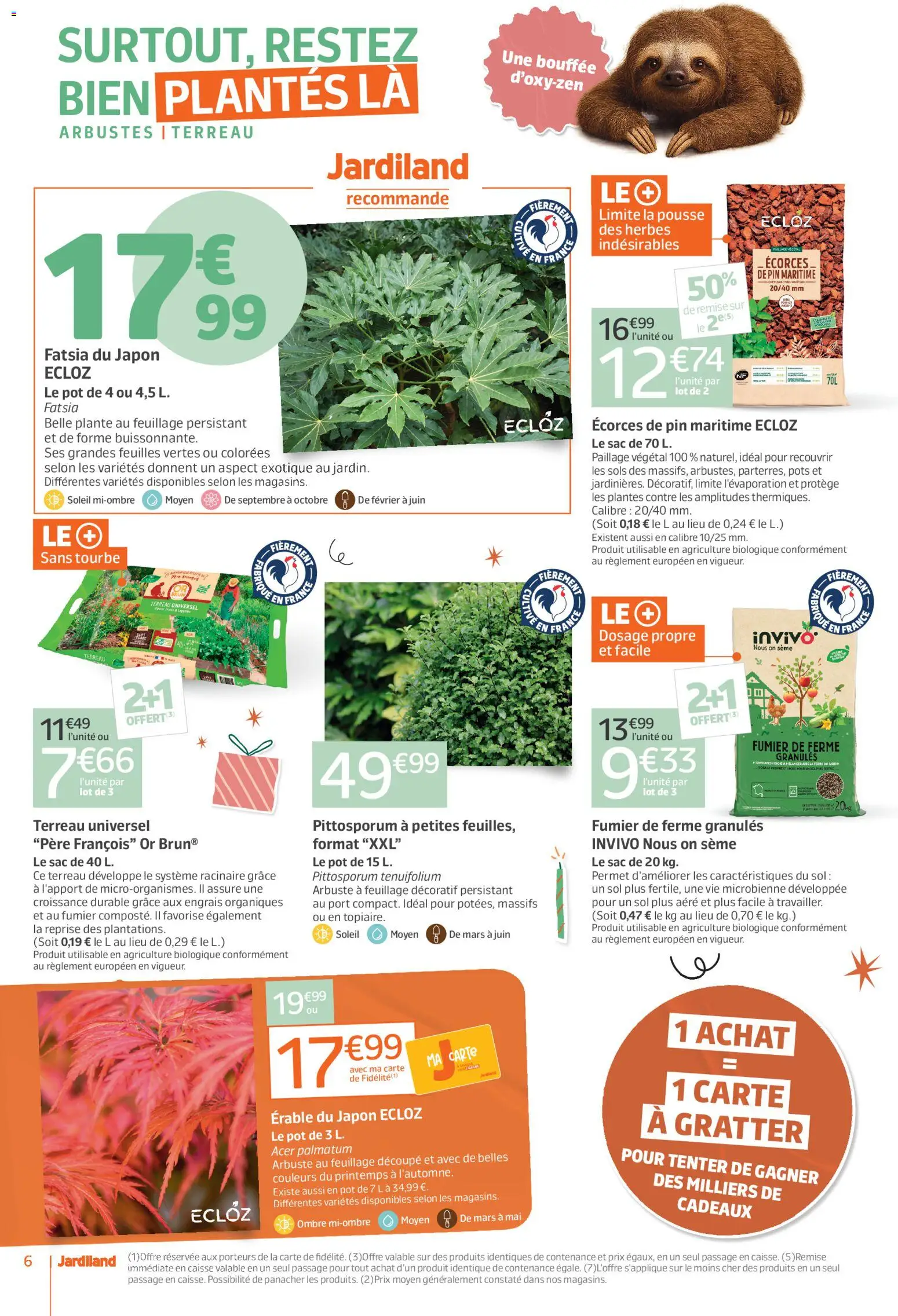 {H1} | Page: 6 | Produits: Sac, Terreau Universel, Plantes, Érable du japon