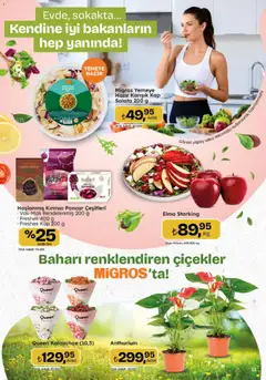26.03.2026 tarihinden itibaren geçerli olan Migros kataloğu önizlemesi | Sayfa: 13 | Ürünler: Elma, Salata, Pancar