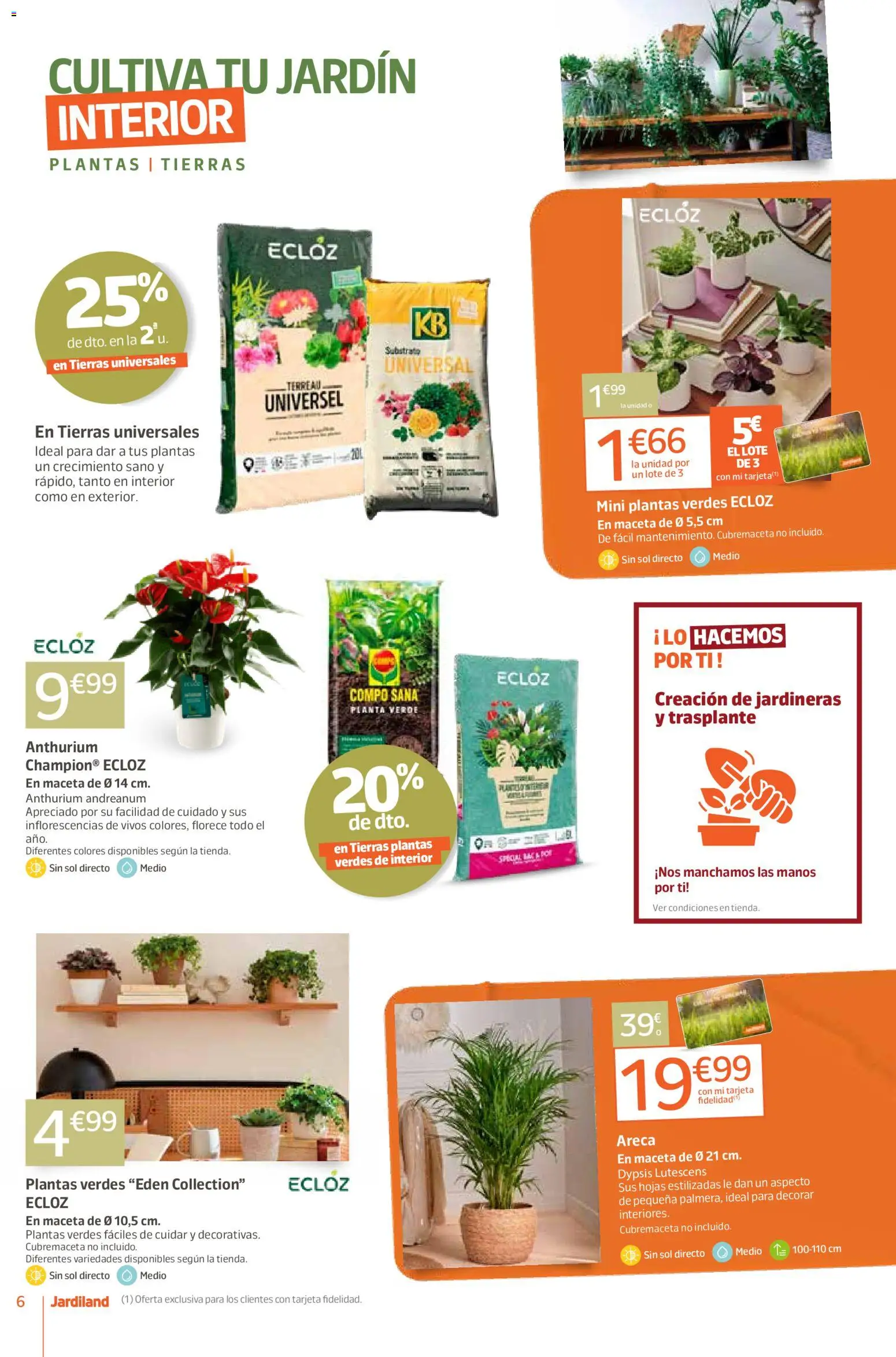 Jardiland folleto │ válido desde el 05.02.2026 | Página: 6