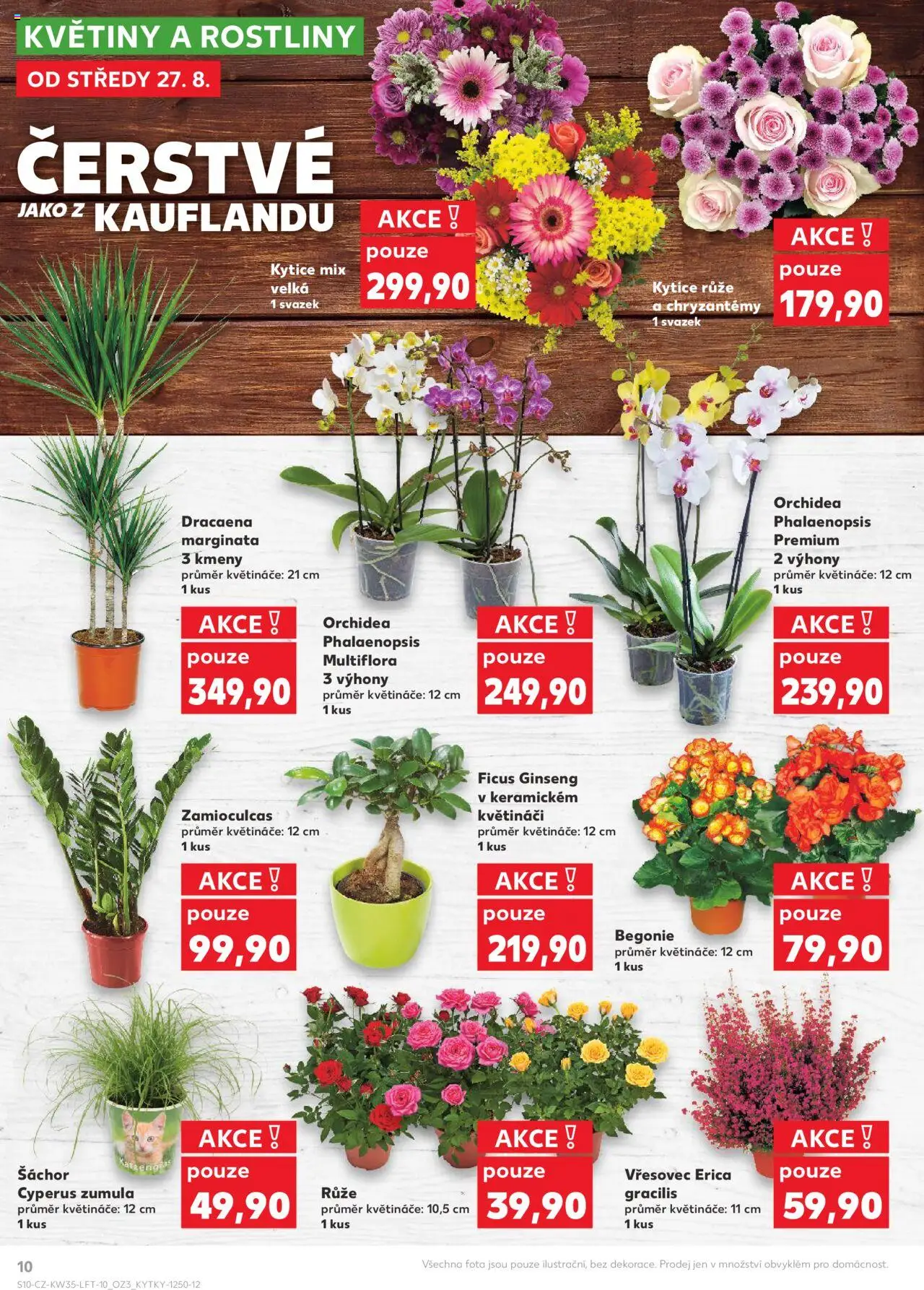 Kaufland leták - Chomutov od 27.08.2025 | Strana: 10 | Produkty: Květináče, Rostliny, Kytice, Květiny