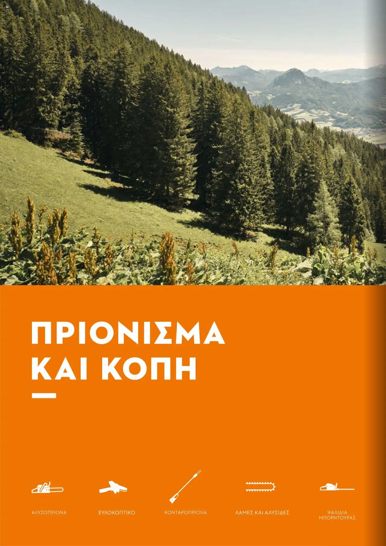 Stihl Κατάλογος 2025 – σε ισχύ από 13.01.2025 | Σελίδα: 38