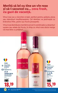 Ofertele Lidl valabile de la 23.02.2026 | Pagină: 22 | Produse: Șal, Pizza, Vin, Fructe