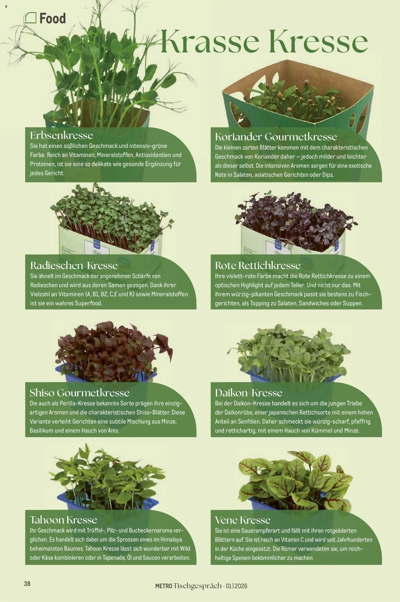 Metro Tischgespräch – gültig ab 01.02.2026 | Seite: 38 | Produkte: Käse, Öl, Küche, Fisch