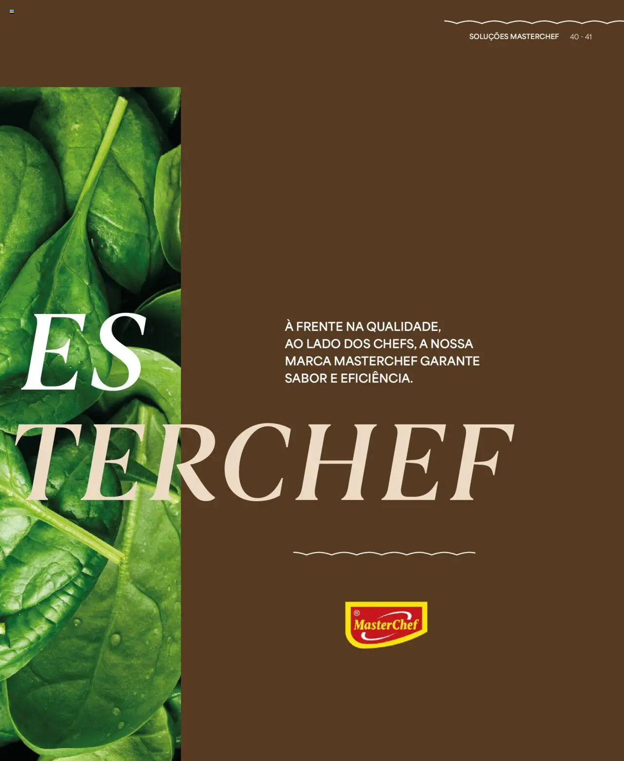 Recheio - Recheio da Terra │ válido de 25.09.2025 | Página: 41