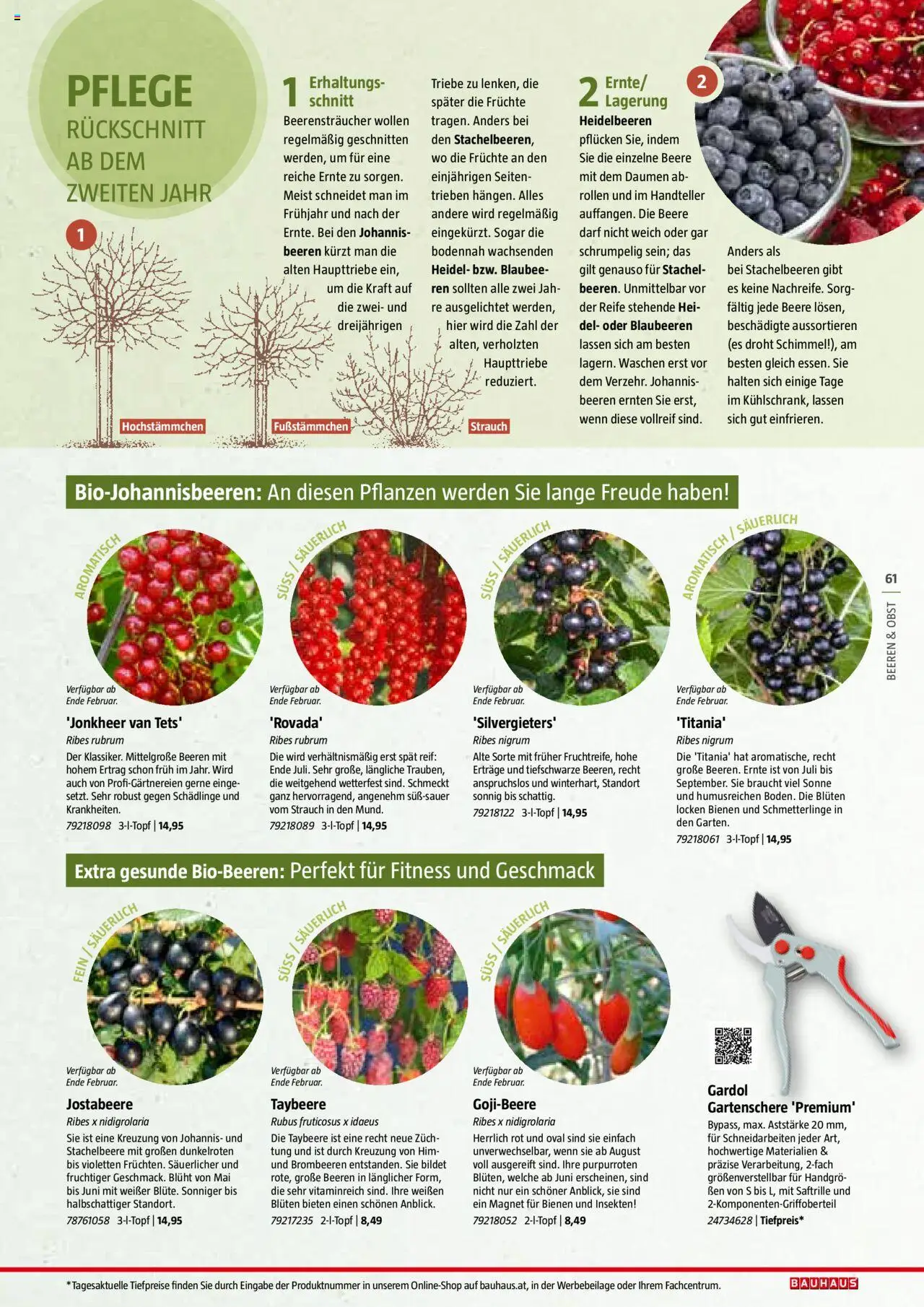 Bauhaus Reiche Ernte Magazin 2025 gültig ab 01.07.2025 | Seite: 61 | Produkte: Obst, Blaubeeren