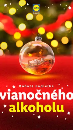 Lidl leták platný od 01.12.2025