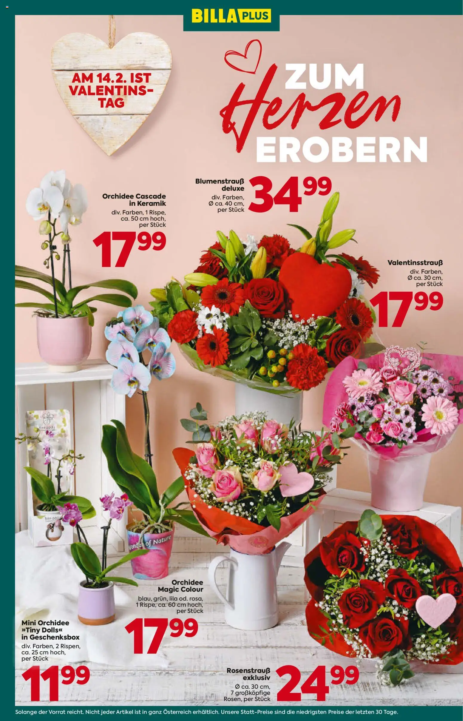 Billa Plus Flugblatt gültig ab 12.02.2026 | Seite: 2