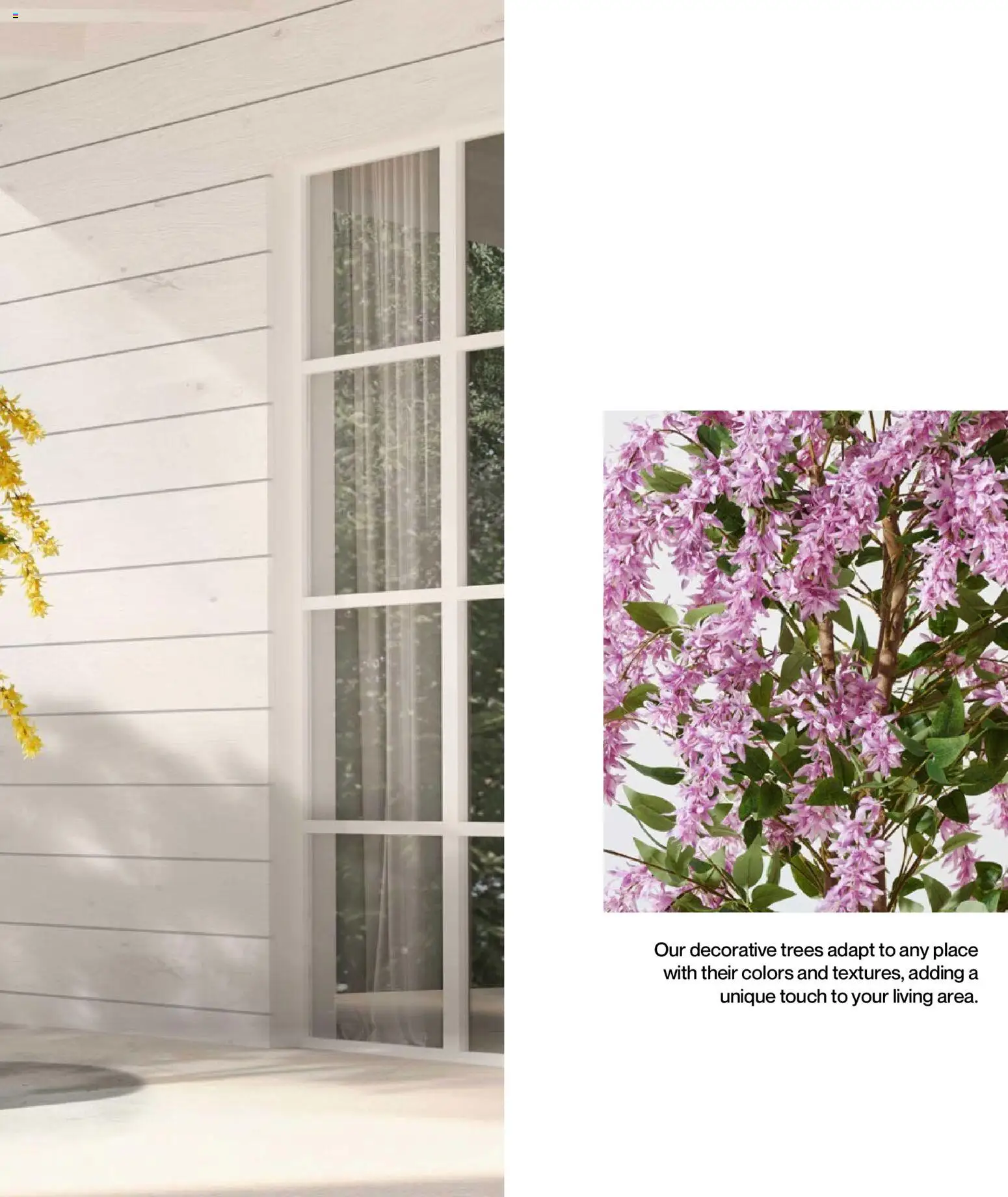 Mudo - Katalog Bahçe 2026  - 01.01.2026 tarihinden itibaren geçerlidir | Sayfa: 171