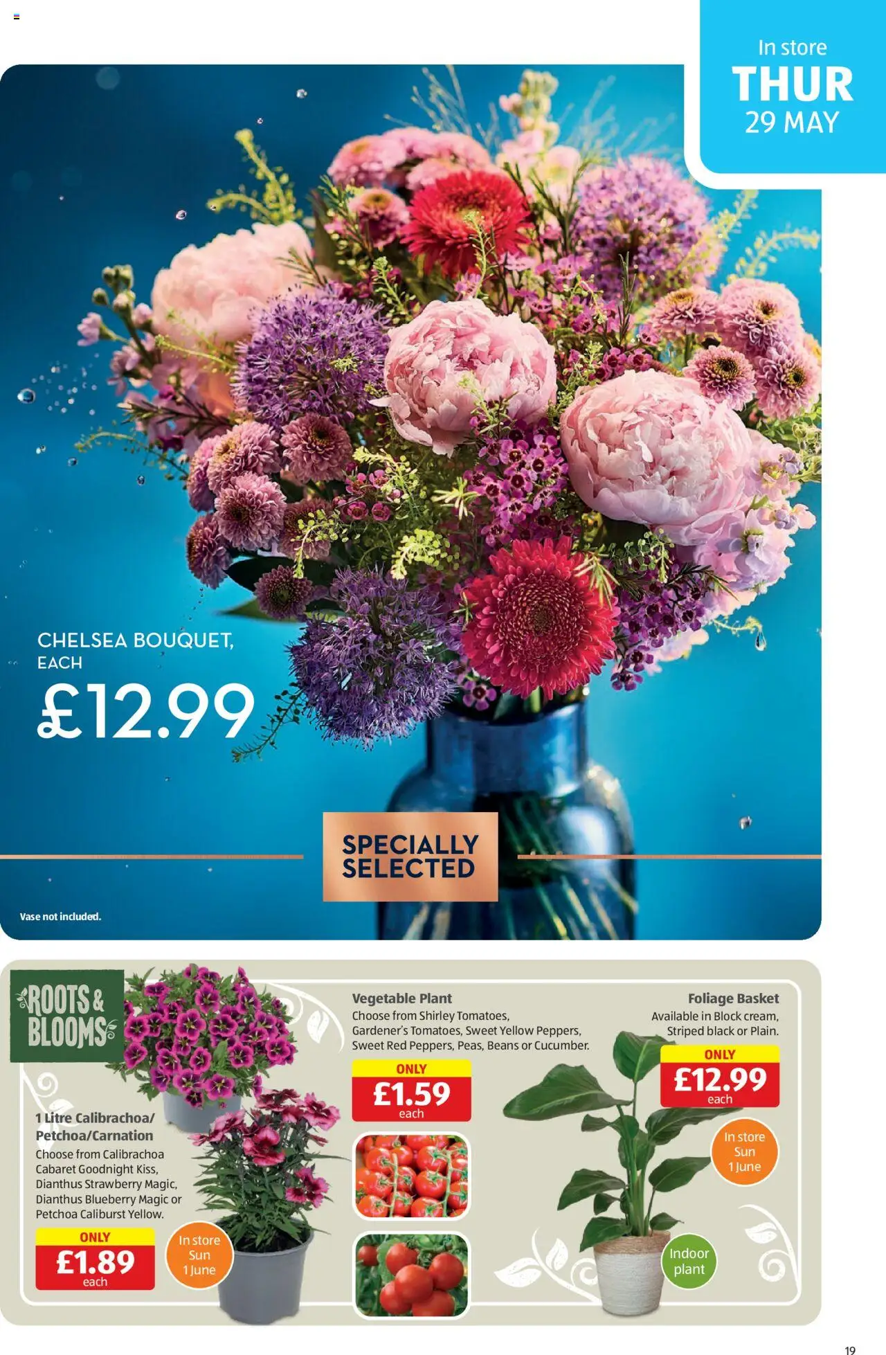  | Page: 19 | Products: Basket, Vase, Blueberry, Strawberry