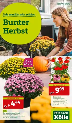Pflanzen-Kölle Prospekt 	 ab 07.09.2025 gültig