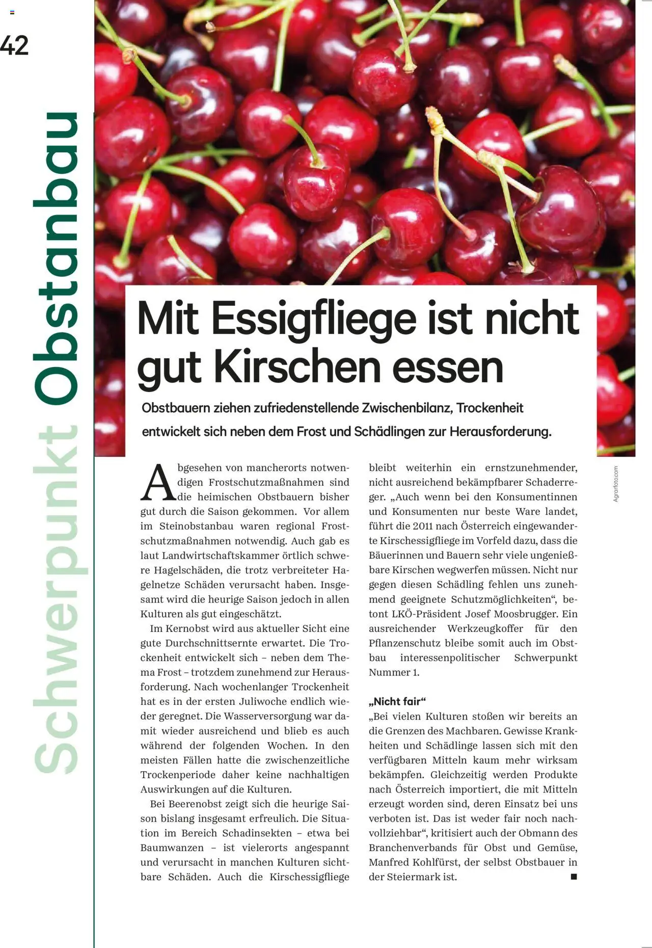 Lagerhaus  Unser Land September 2025 gültig ab 20.08.2025 | Seite: 42 | Produkte: Obst