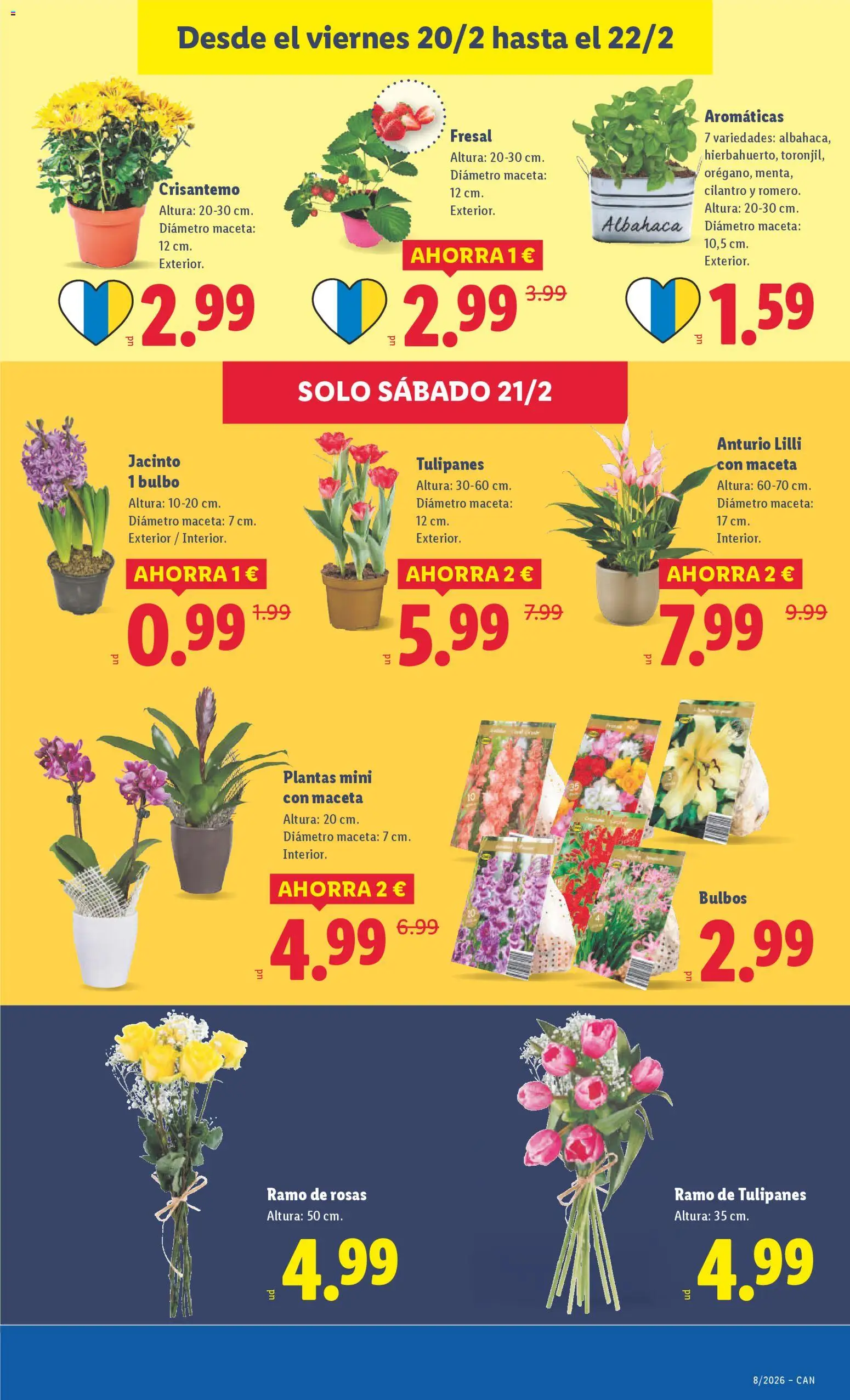 Lidl - Canarias  │ válido desde el 16.02.2026 | Página: 57 | Productos: Maceta