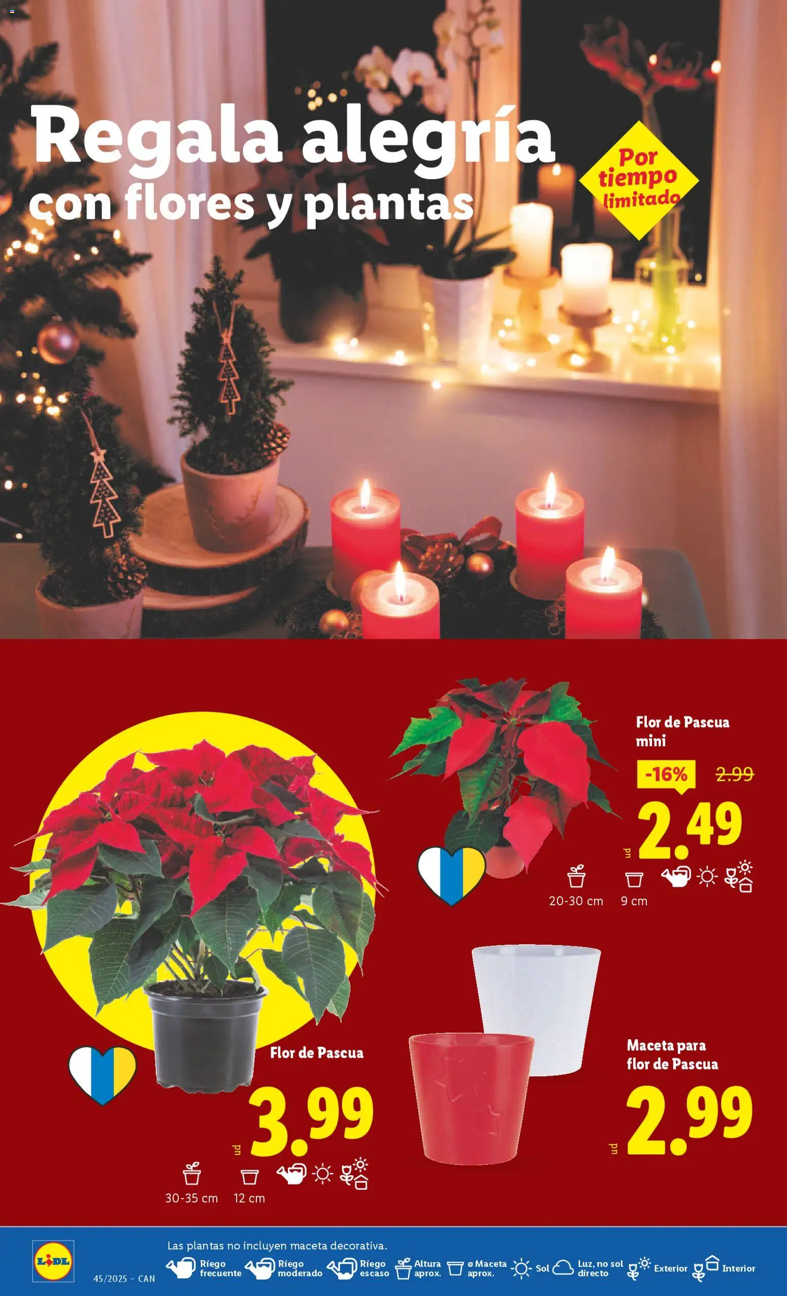 Lidl - Canarias │ válido desde el 03.11.2025 | Página: 34 | Productos: Maceta