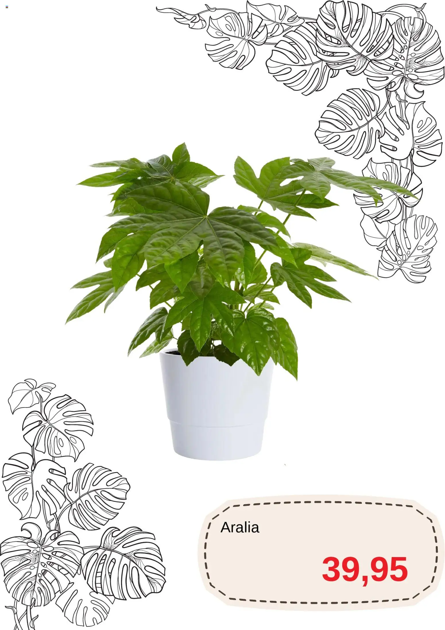 Blomsterlandet reklamblad aktuell från 01.11.2025 | Sida: 7