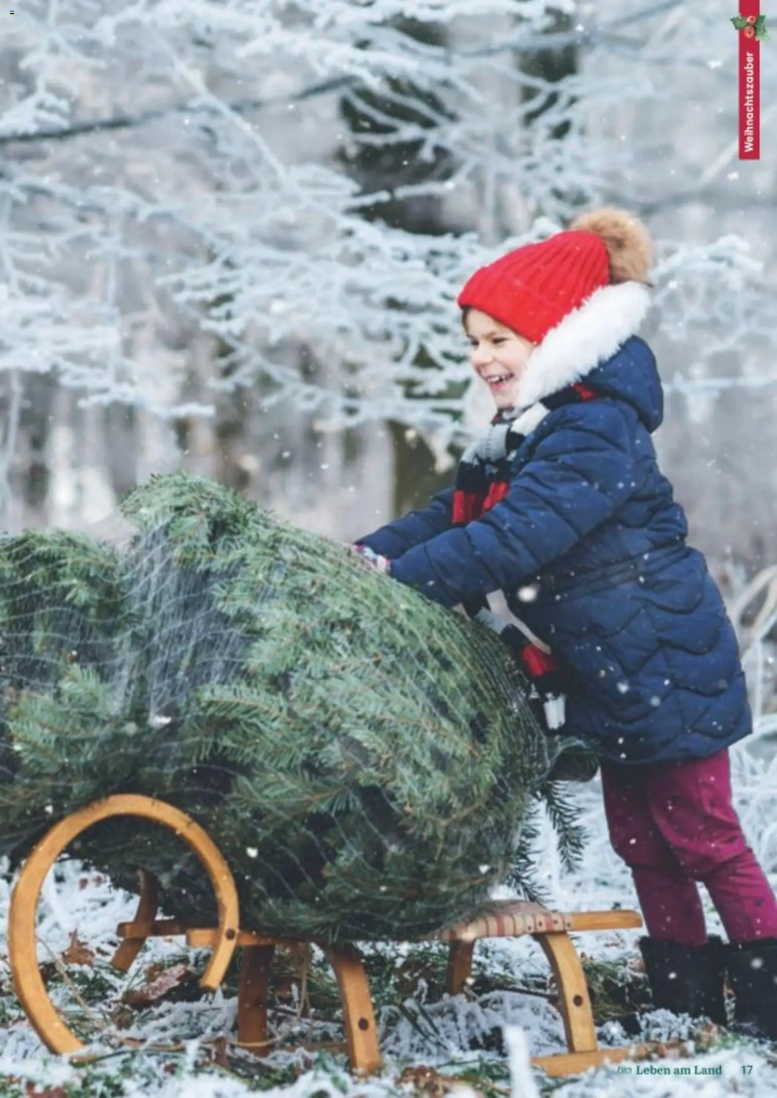 Lagerhaus Fürs Leben am Land gültig ab 01.11.2025 | Seite: 17