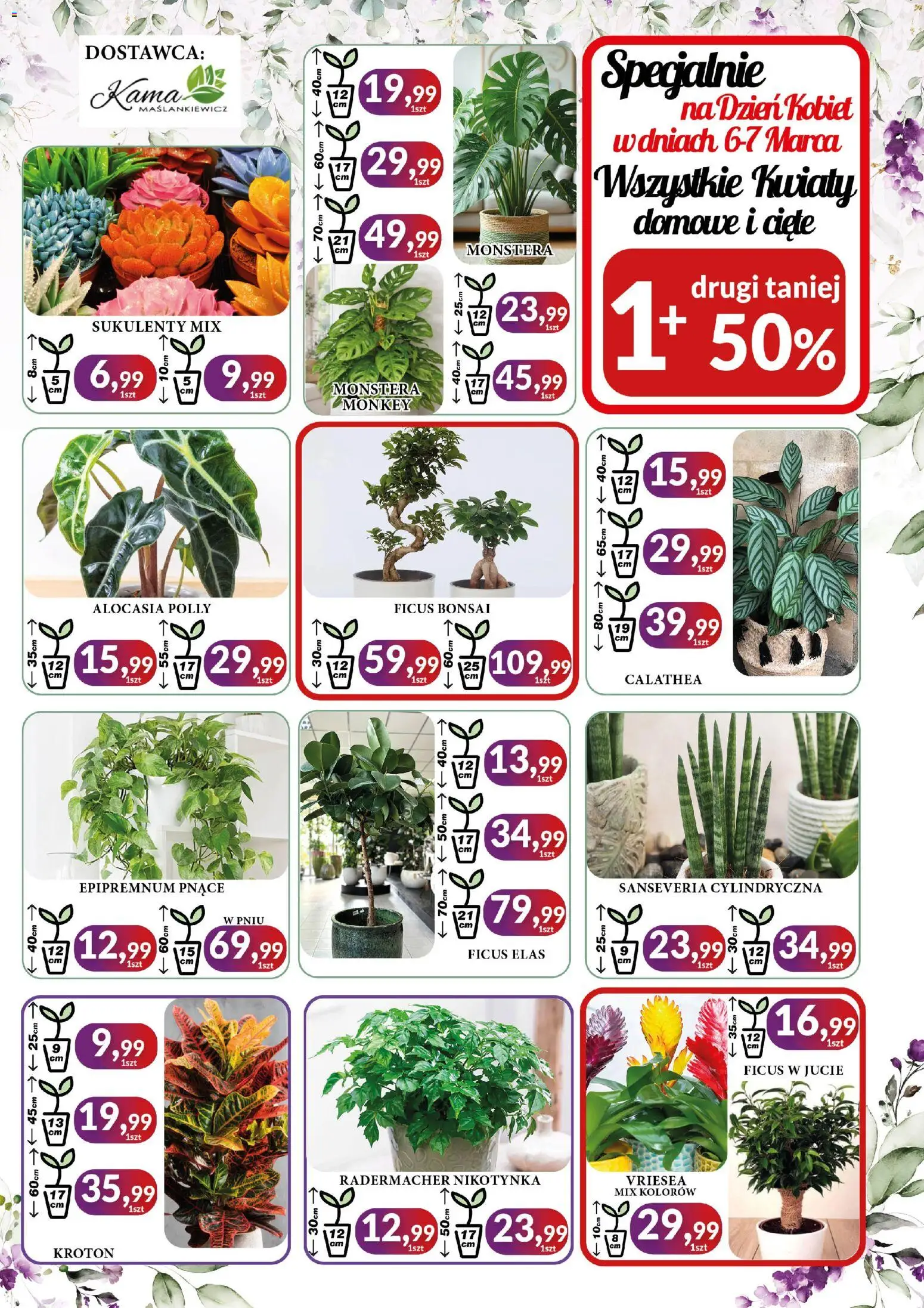 E.Leclerc Gazetka - Radom od 16.02.2026 | Strona: 3 | Produkty: Kwiaty