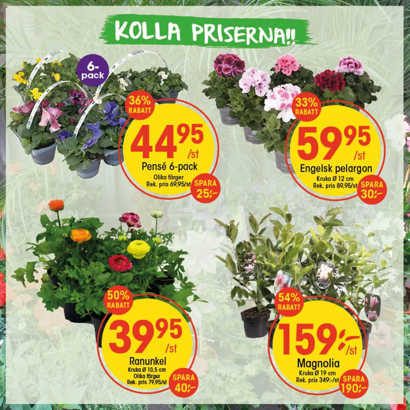 EKO reklamblad aktuell från 30.03.2026 | Sida: 2 | Produkter: Pelargon, Kruka