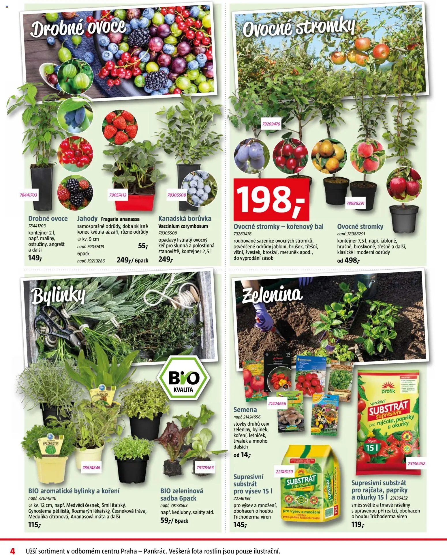 Bauhaus leták od 06.03.2026 | Strana: 4 | Produkty: Ovoce, Saláty, Jahody, Okurky