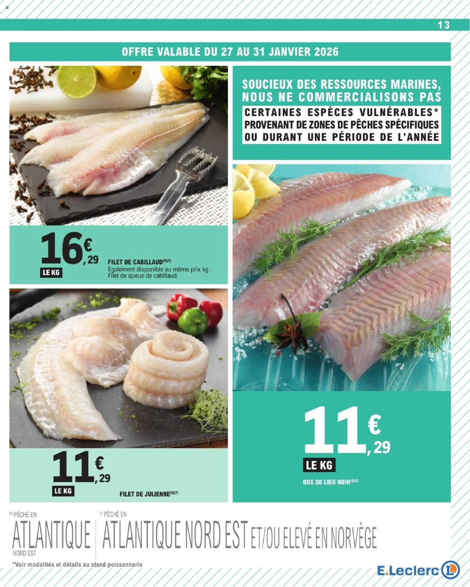 {H1} | Page: 13 | Produits: Pêche, Poissonnerie