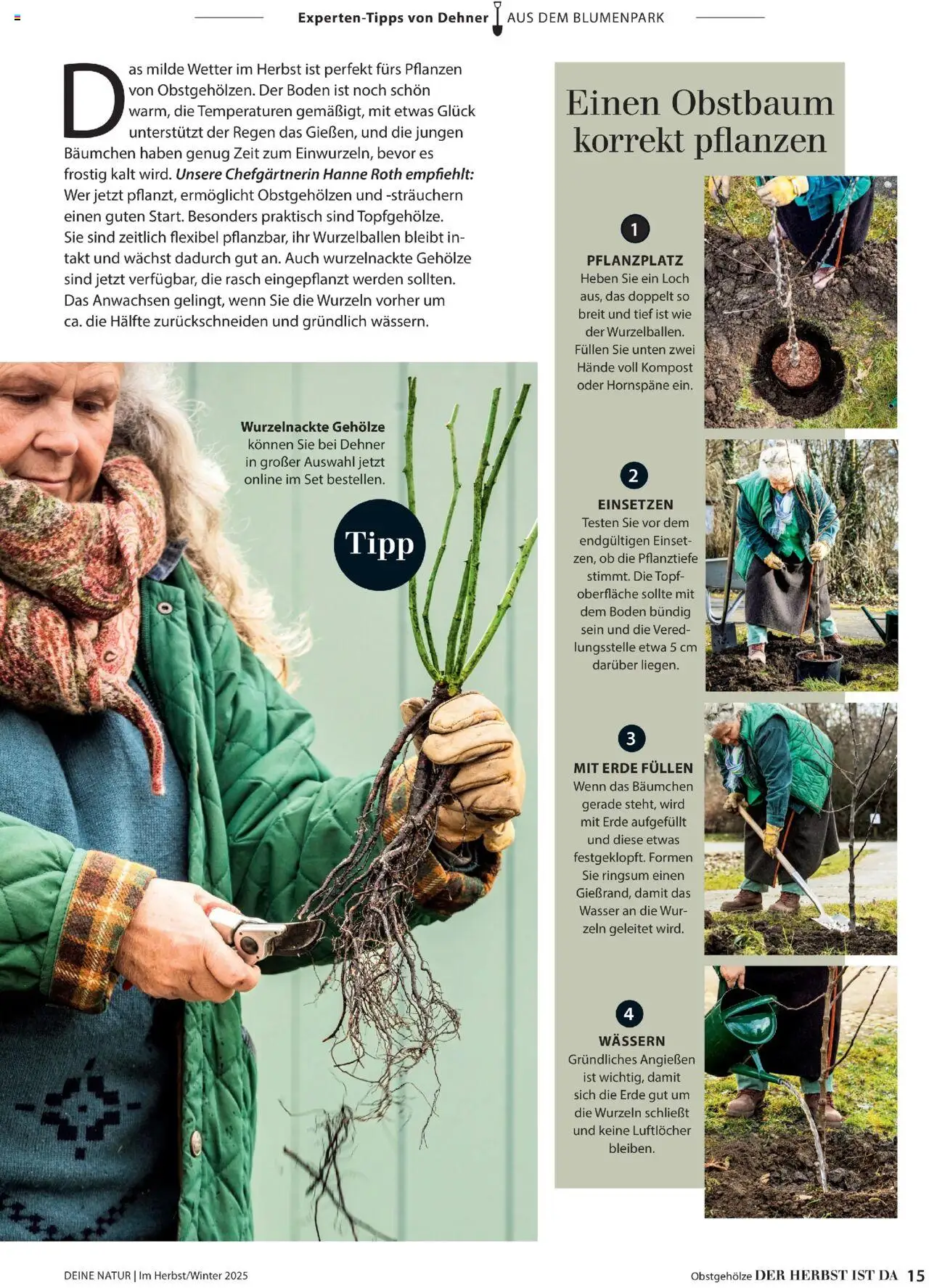 Dehner Prospekt Deine Natur – gültig ab 09.10.2025 | Seite: 15 | Produkte: Wasser