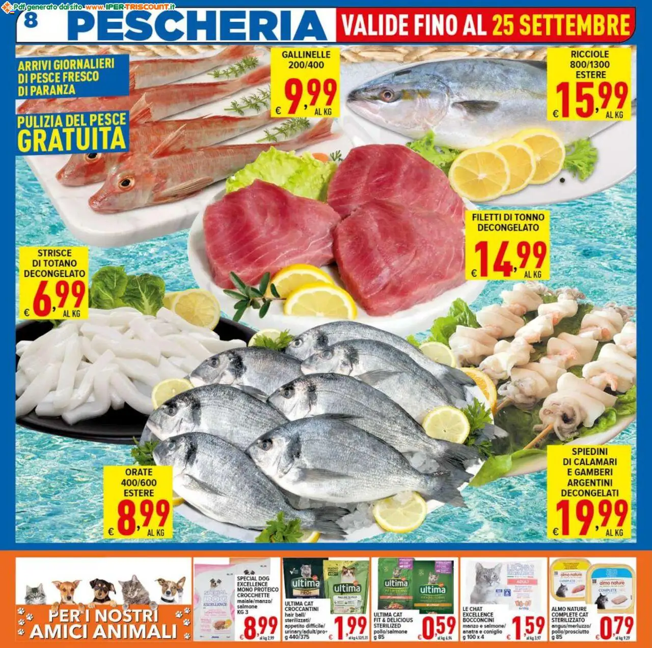 Volantino Ipertriscount del 17.09.2025 | Pagina: 8 | Prodotti: Salmone, Calamari, Totano, Spiedini