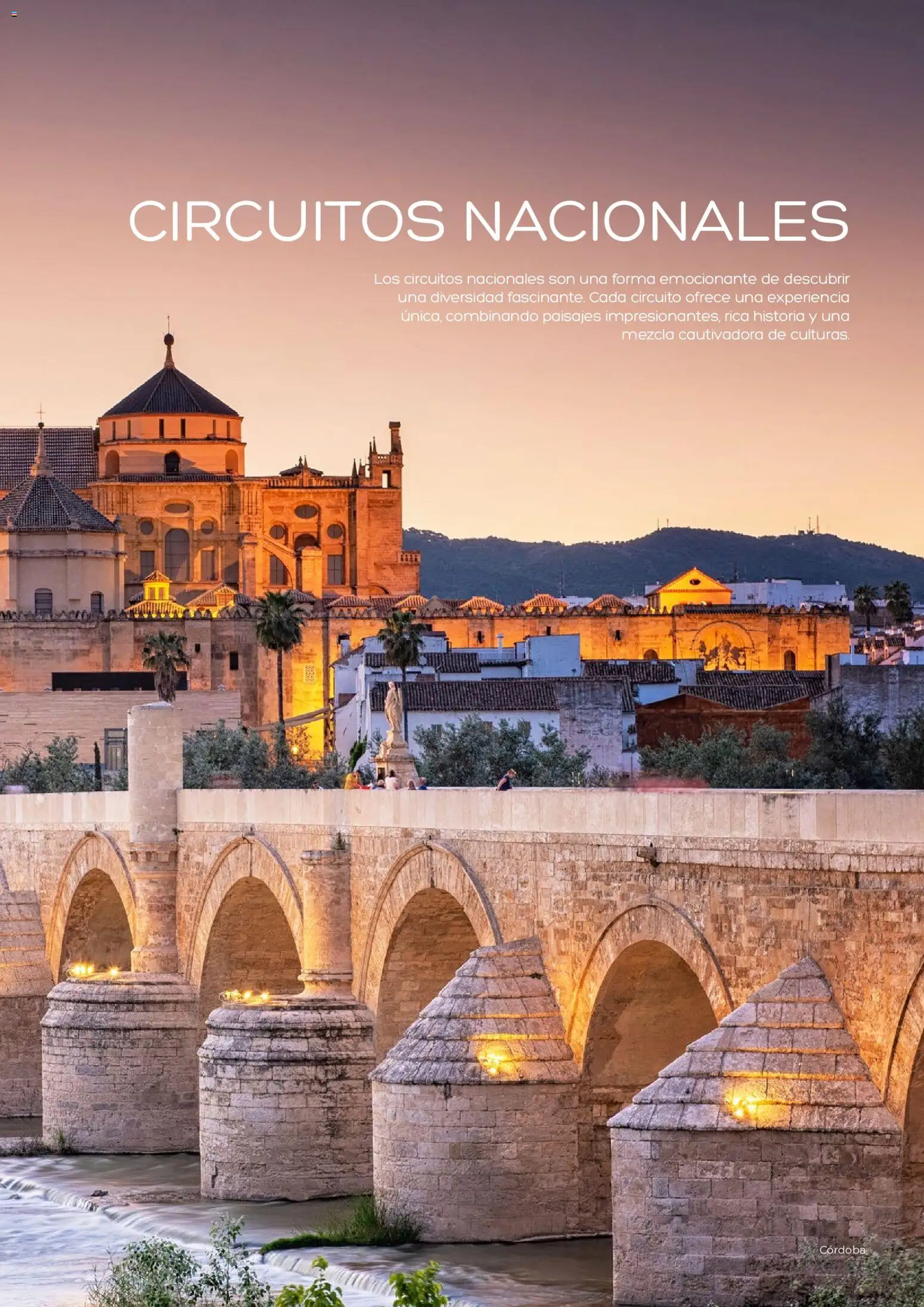 Viajes El Corte Inglés Adineko genérico │ válido desde el 01.02.2026 | Página: 5