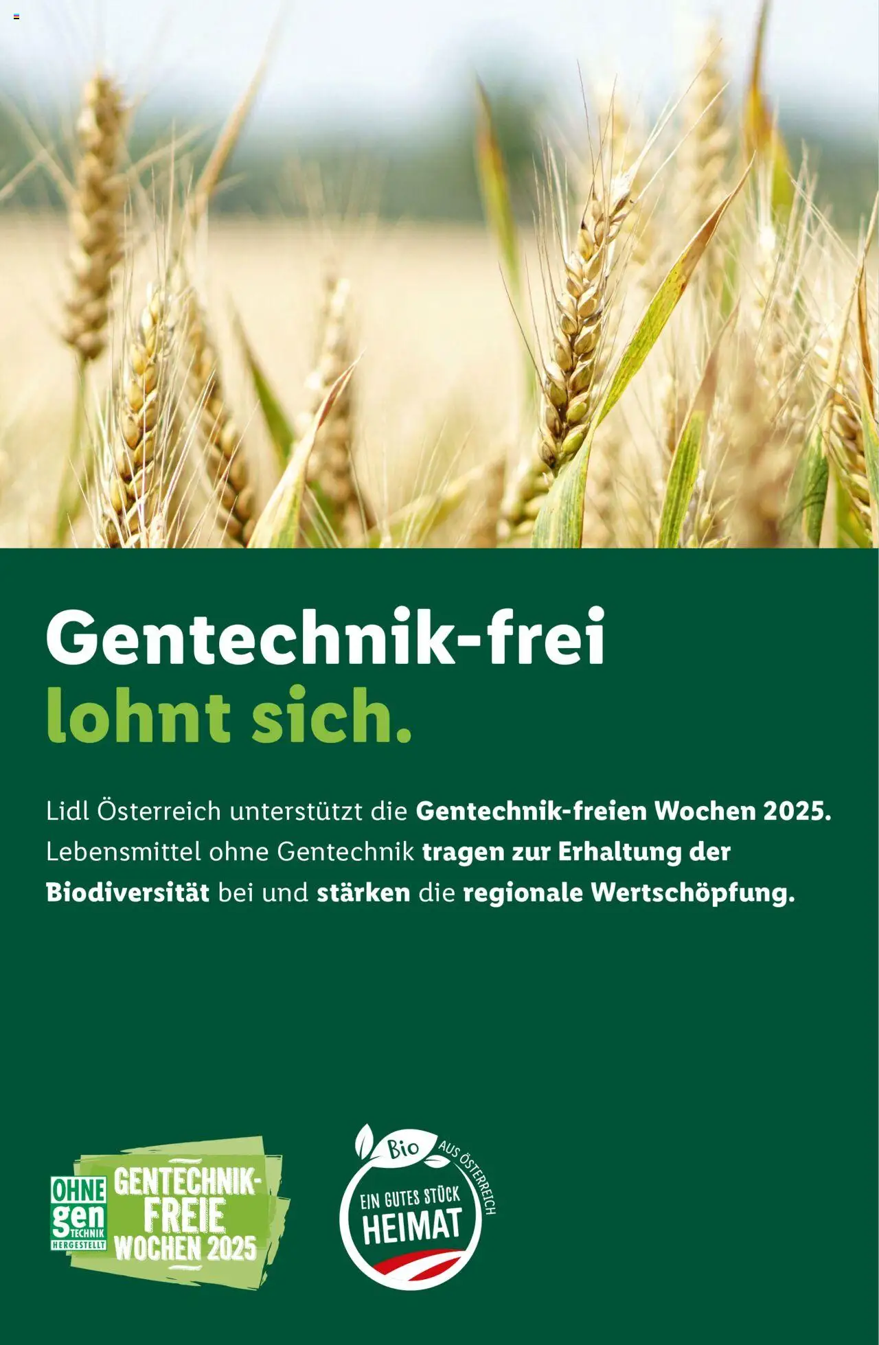 Lidl Flugblatt gültig ab 18.09.2025 | Seite: 41 | Produkte: Libacomb