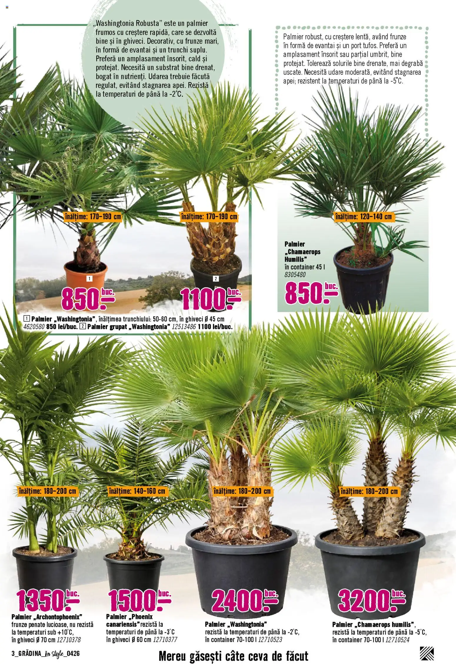 Noul catalog Hornbach – valabil de la 06.04.2026 | Pagină: 3 | Produse: Ghiveci