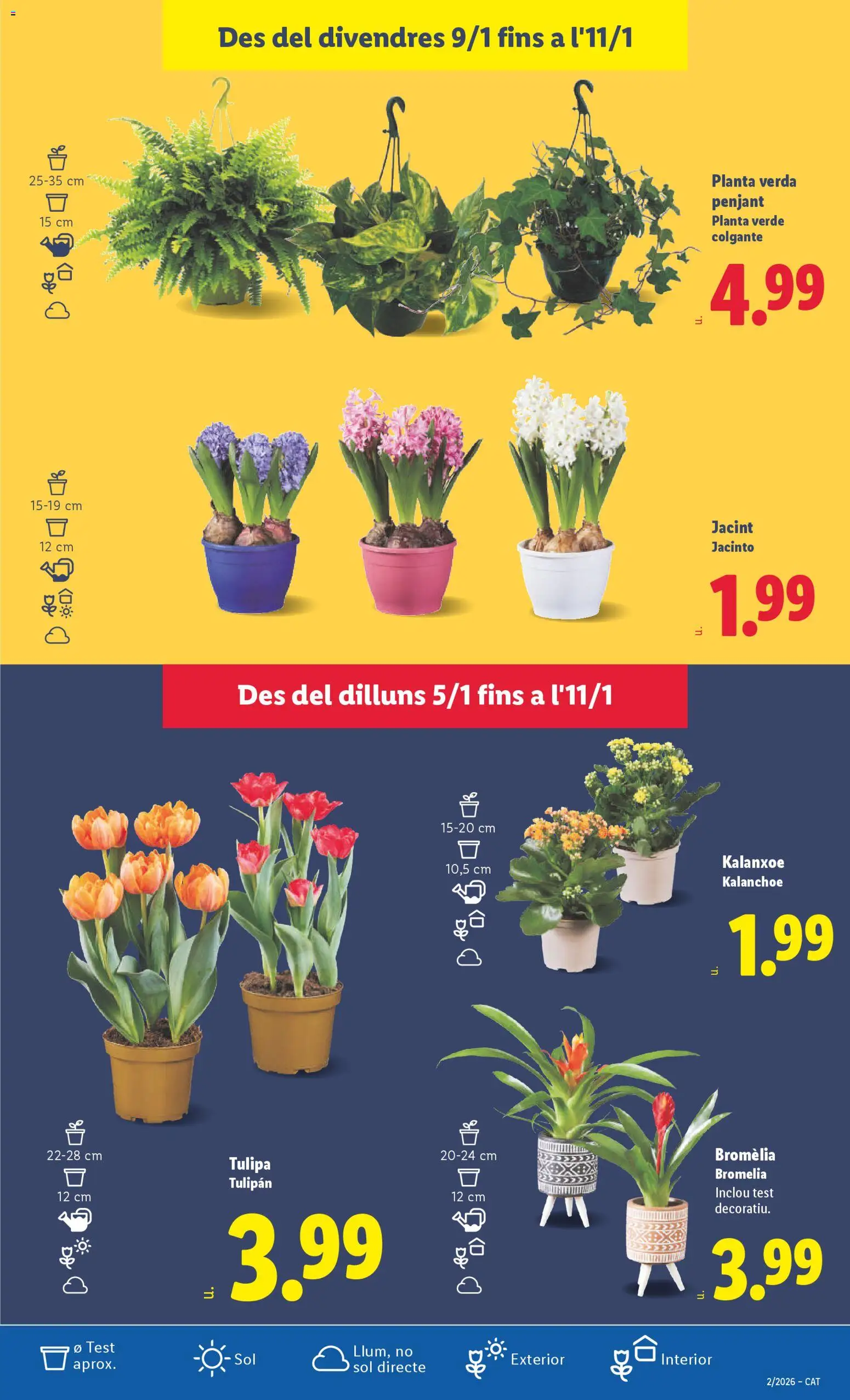 Lidl folleto │ válido desde el 05.01.2026 | Página: 33