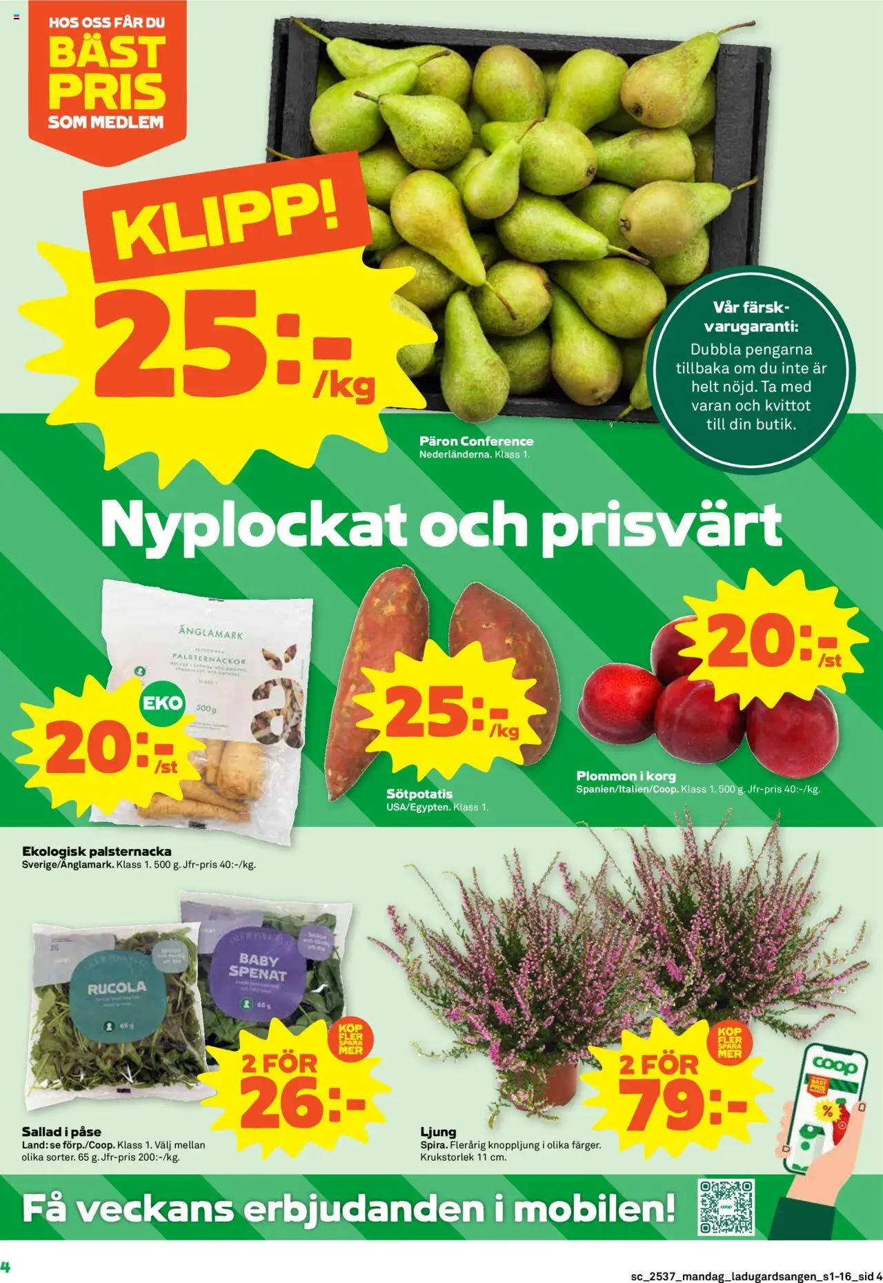 Coop Forum reklamblad aktuell från 08.09.2025 | Sida: 4 | Produkter: Korg, Spenat, Plommon, Sötpotatis