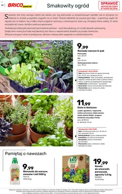Pogląd oferty "Brico Marché gazetka - Wiosna" - ważna od 04.03.2026 | Strona: 80 | Produkty: Mięta, Rosliny, Melisa, Warzywa