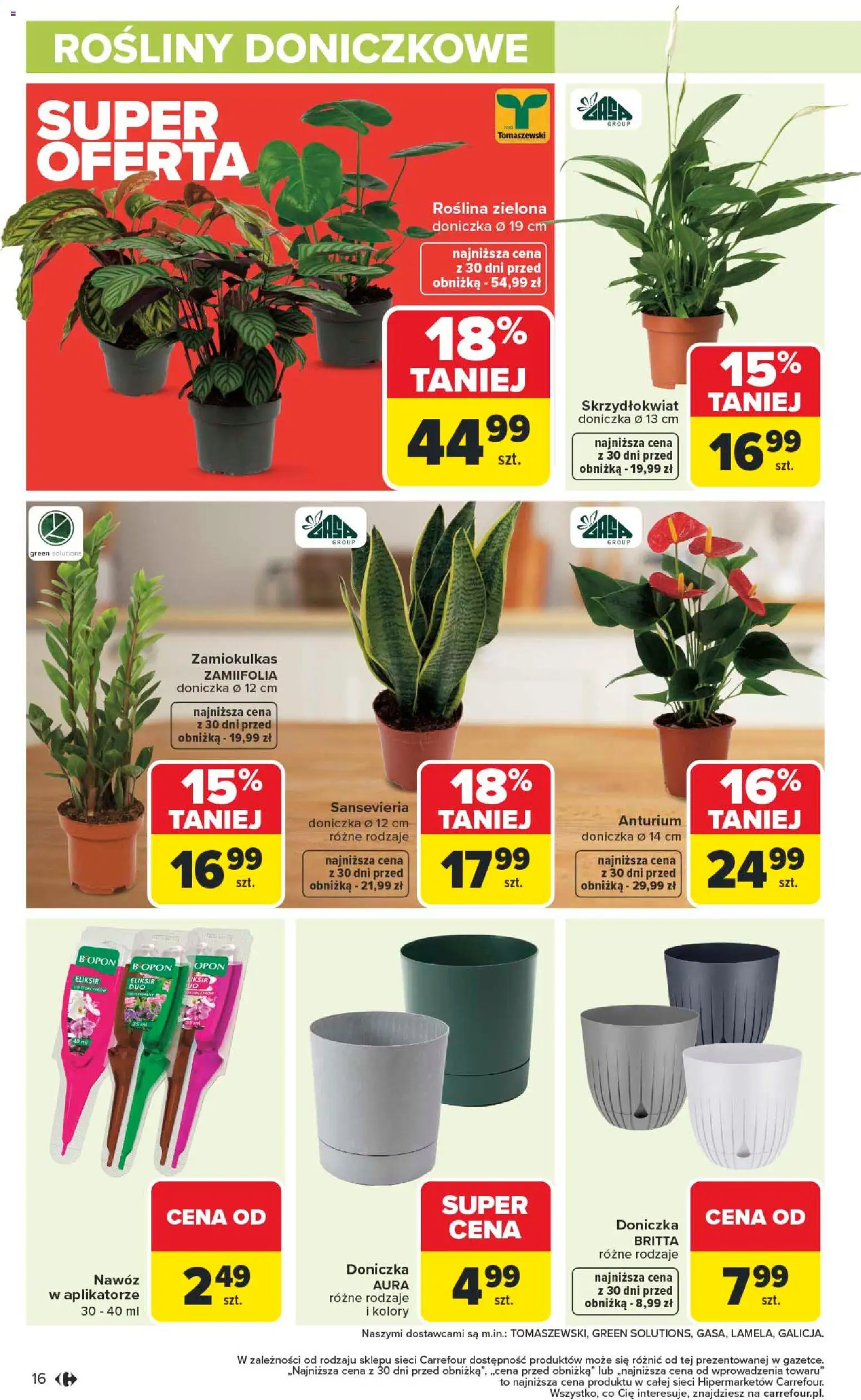 Carrefour Gazetka - Łap super okazje od 19.01.2026 | Strona: 16 | Produkty: Zamiokulkas, Rośliny doniczkowe, Doniczka, Rosliny