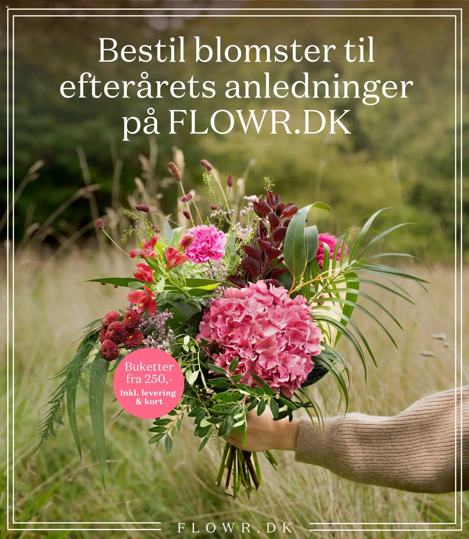 Bilka tilbudsavis – gyldig fra 24.10.2025 | Side: 23