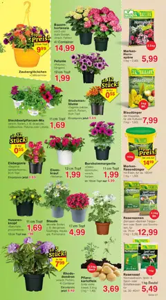 Jawoll Prospekt ab 13.04.2026 gültig | Seite: 11 | Produkte: Berliner, Spiel, Hortensie, Kartoffeln