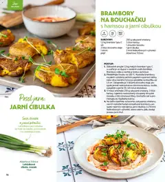 Náhled letáku Albert magazín od 01.03.2026 | Strana: 16 | Produkty: Oleje, Hrnce, Lžíce, Citron