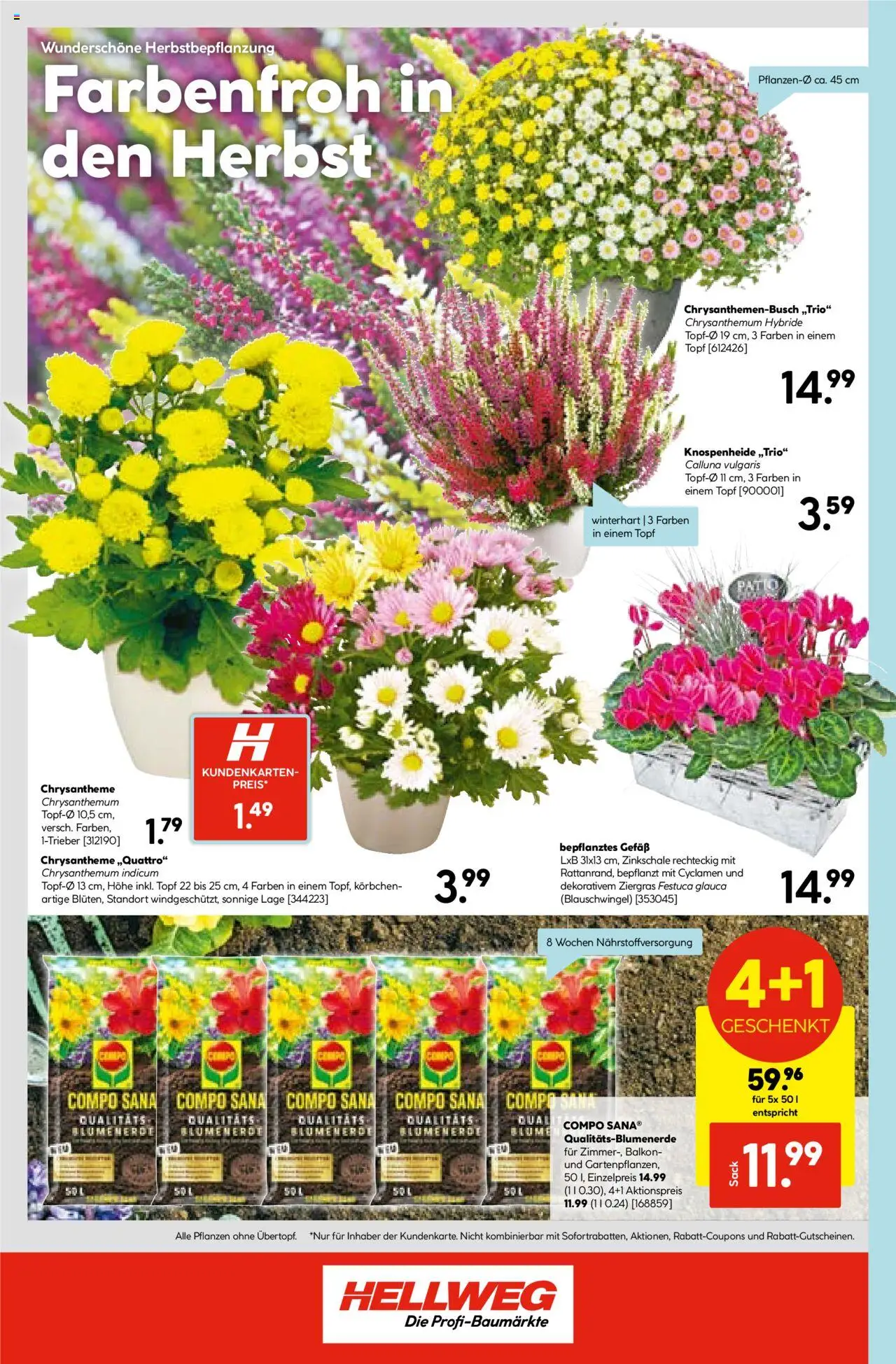 Hellweg Prospekt – gültig ab 15.09.2025 | Seite: 24 | Produkte: Blumenerde
