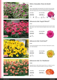 Náhled letáku Starkl katalog od 25.02.2026 | Strana: 102 | Produkty: Oleje, Barvy