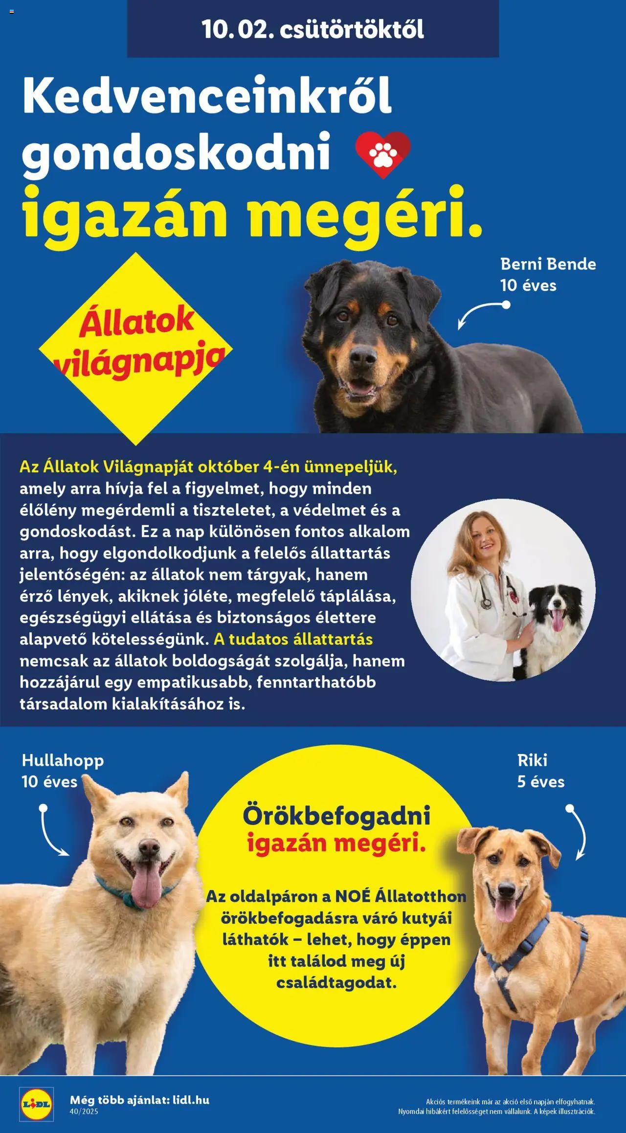 Lidl akciós ujság - amely érvényes a következő dátumtól: 02.10.2025 | Oldal: 28