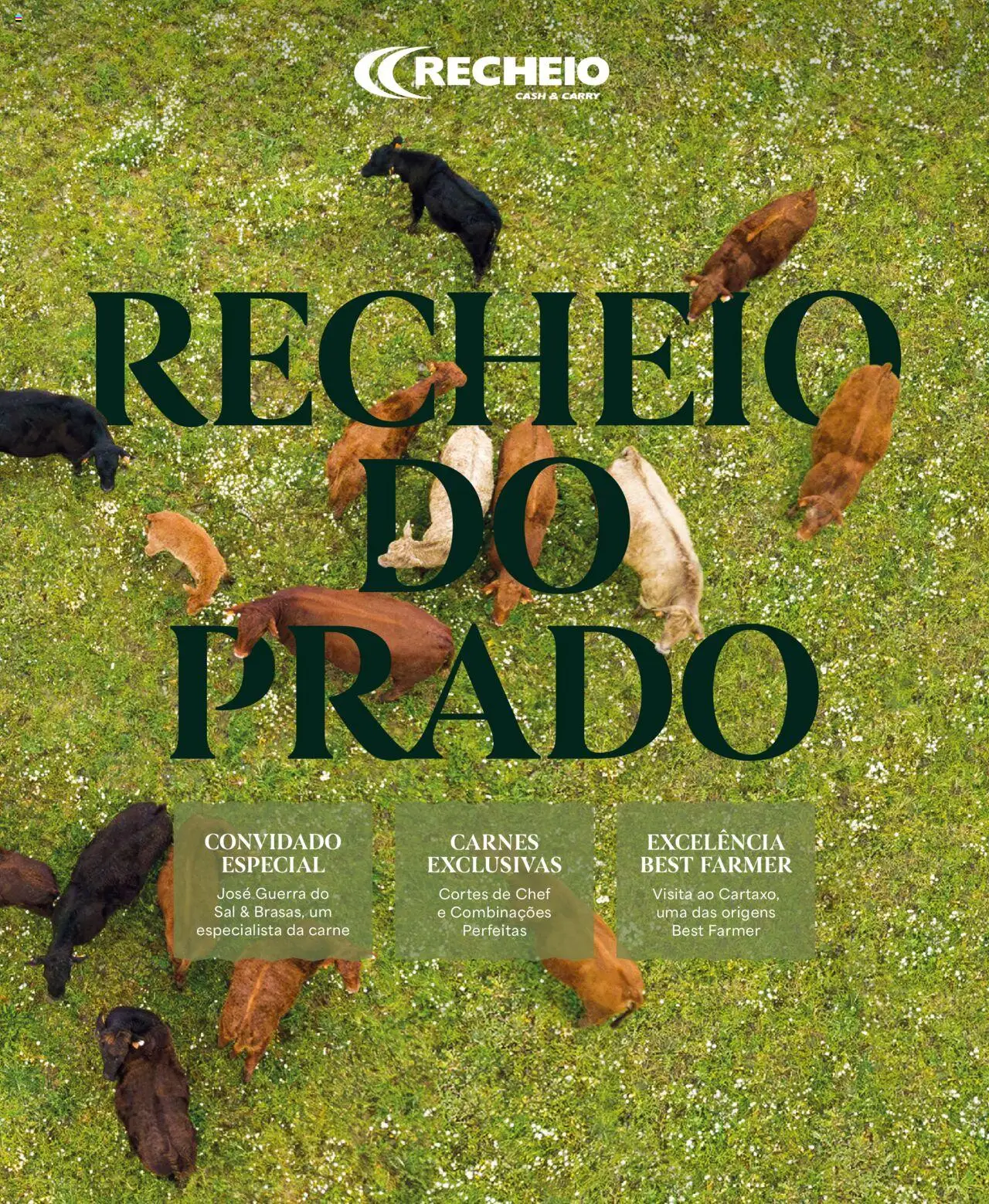 Recheio folheto │ válido de 24.04.2025 | Página: 1 | Produtos: Sal, Carne
