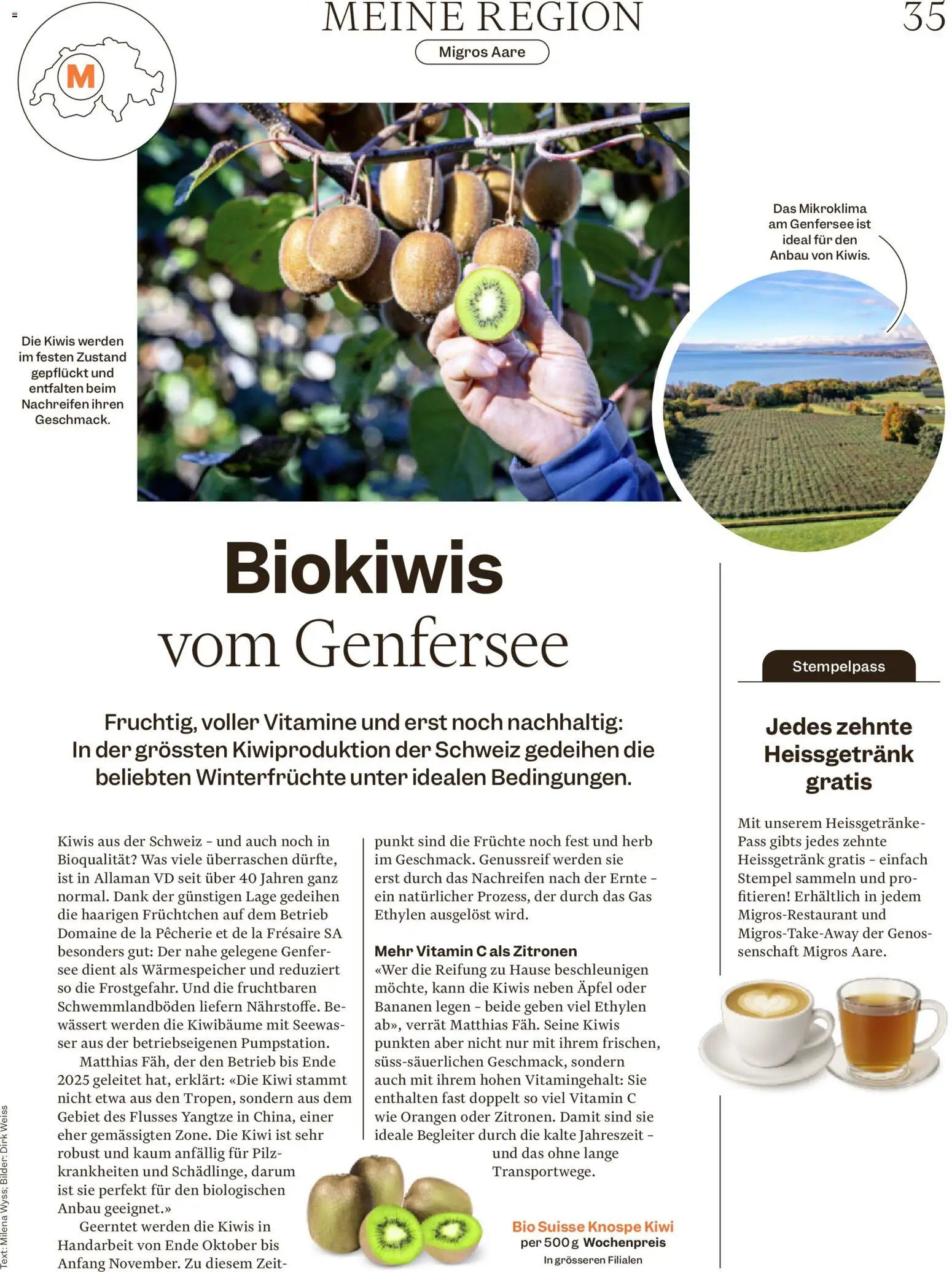 Migros Magazin – gültig ab 12.01.2026 | Seite: 35 | Produkte: Kammerjunker, Äpfel, Orangen, Kiwi
