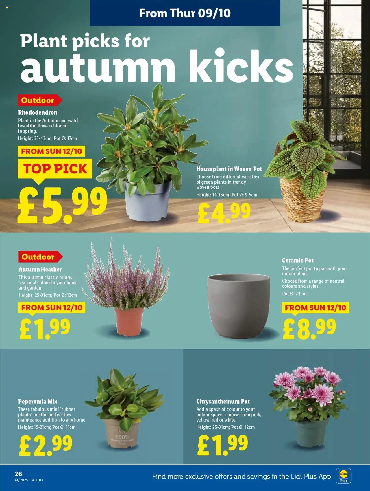{H1} | Page: 26 | Products: Pot, Watch, Ceramic pot