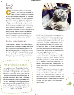 Maxi ZOO - Prévisualisation de Maxi ZOO - Maxizoo Friends  valide à partir de 01.10.2025 | Page: 17 | Produits: Peigne, Brosse