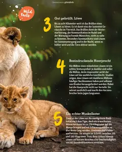Fressnapf Magazin – gültig ab 01.09.2025 | Seite: 37 | Produkte: Kühler