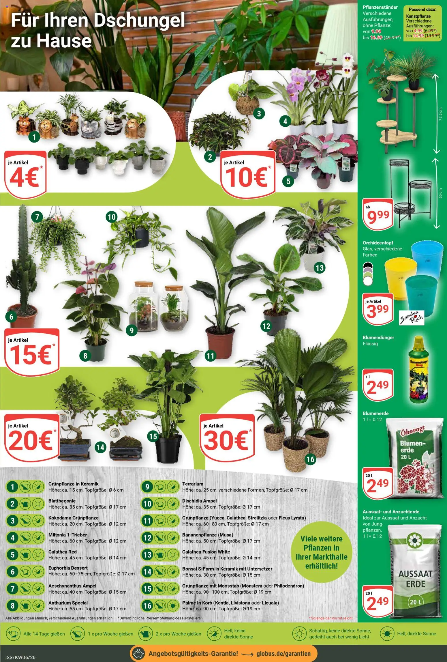 Globus Prospekt 	 – gültig ab 02.02.2026 | Seite: 21 | Produkte: Korb, Blumen, Blumenerde