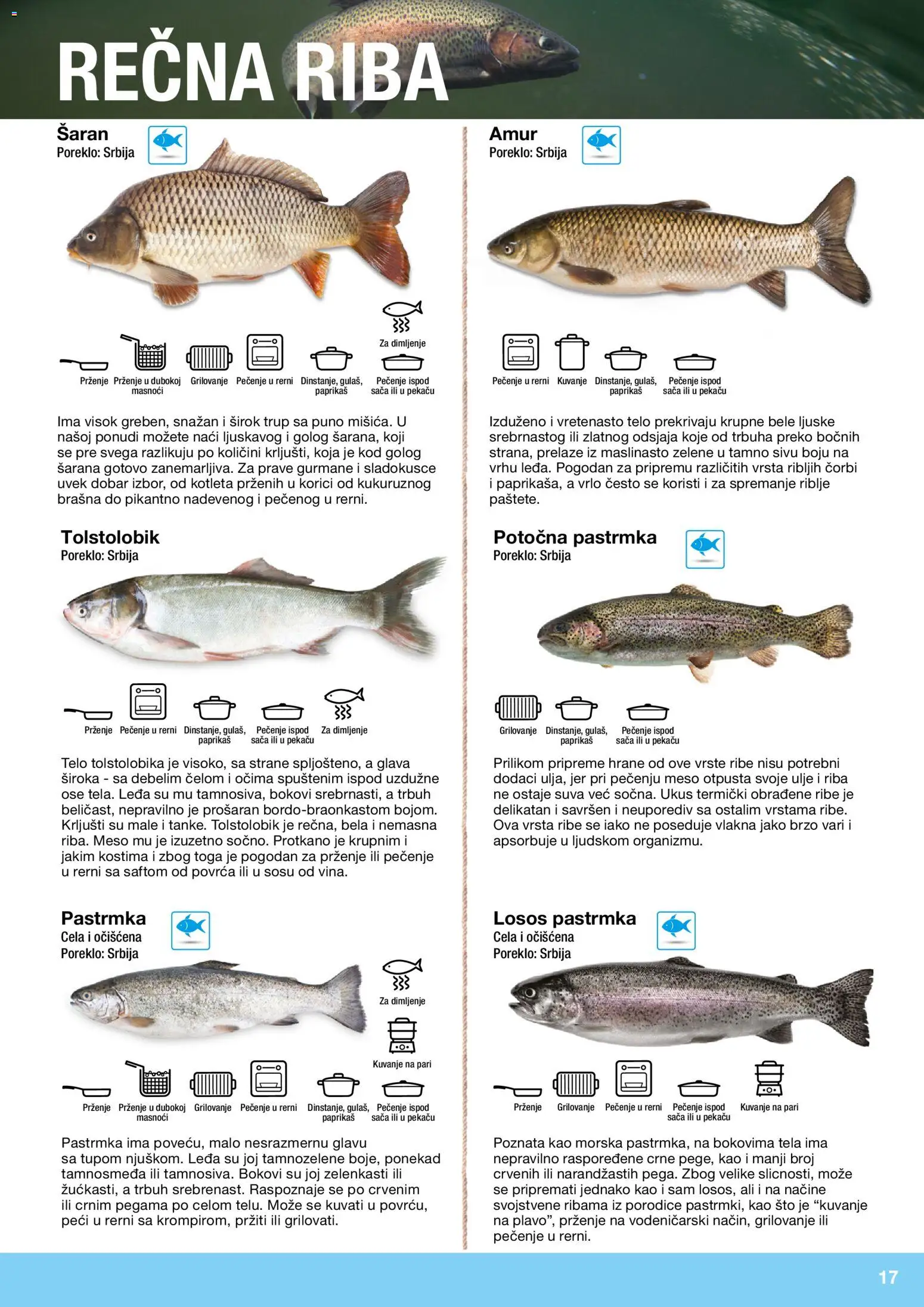 Metro katalog - važi od 10.12.2025 | Strana: 17 | Proizvode: Sto, Losos, Ulje, Riba
