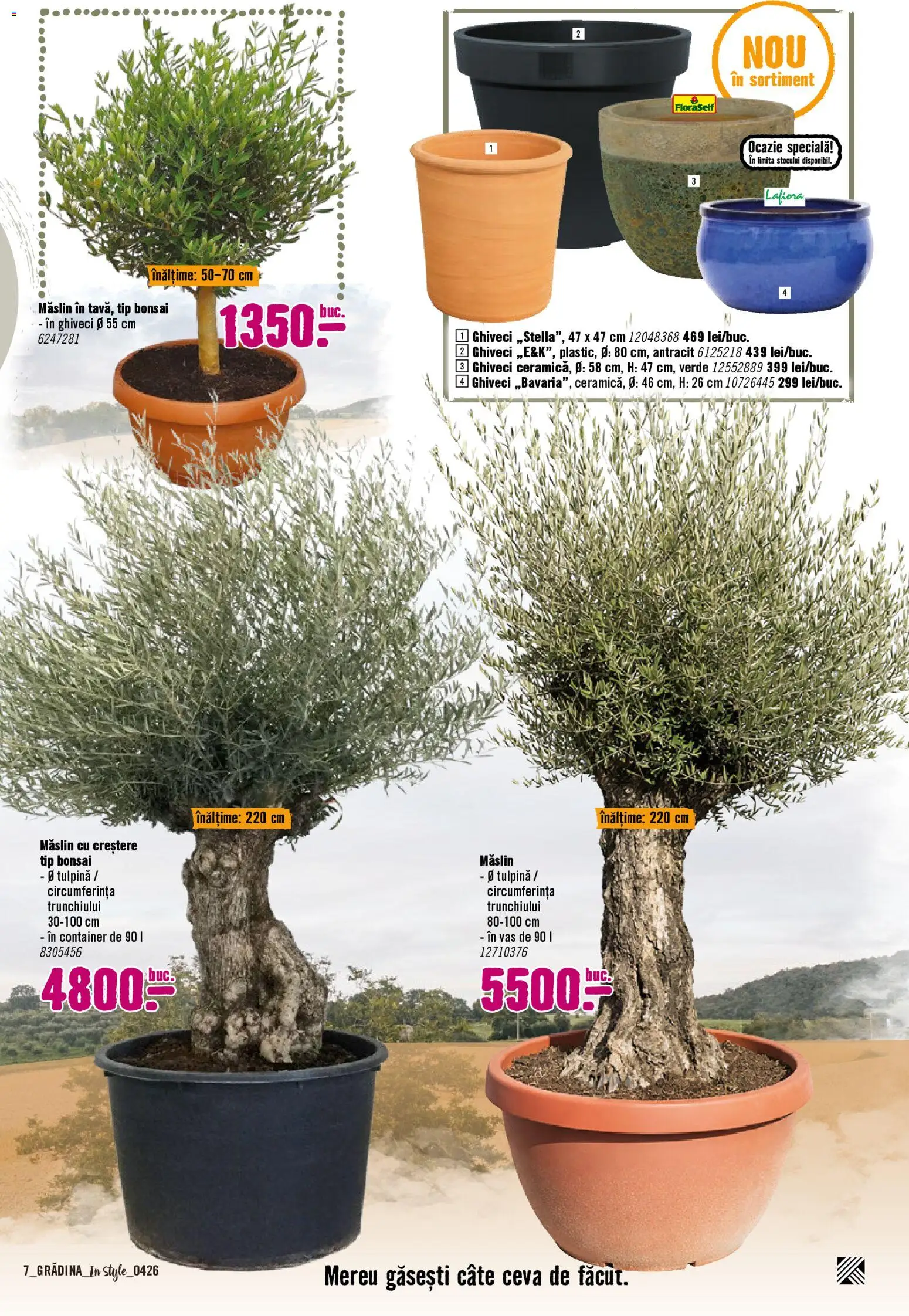 Noul catalog Hornbach – valabil de la 06.04.2026 | Pagină: 7 | Produse: Ghiveci
