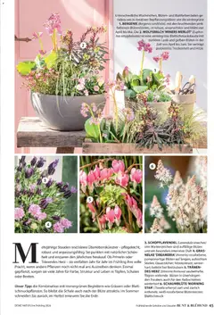 Dehner Flugblatt ab 05.03.2026 gültig | Seite: 45 | Produkte: Duft