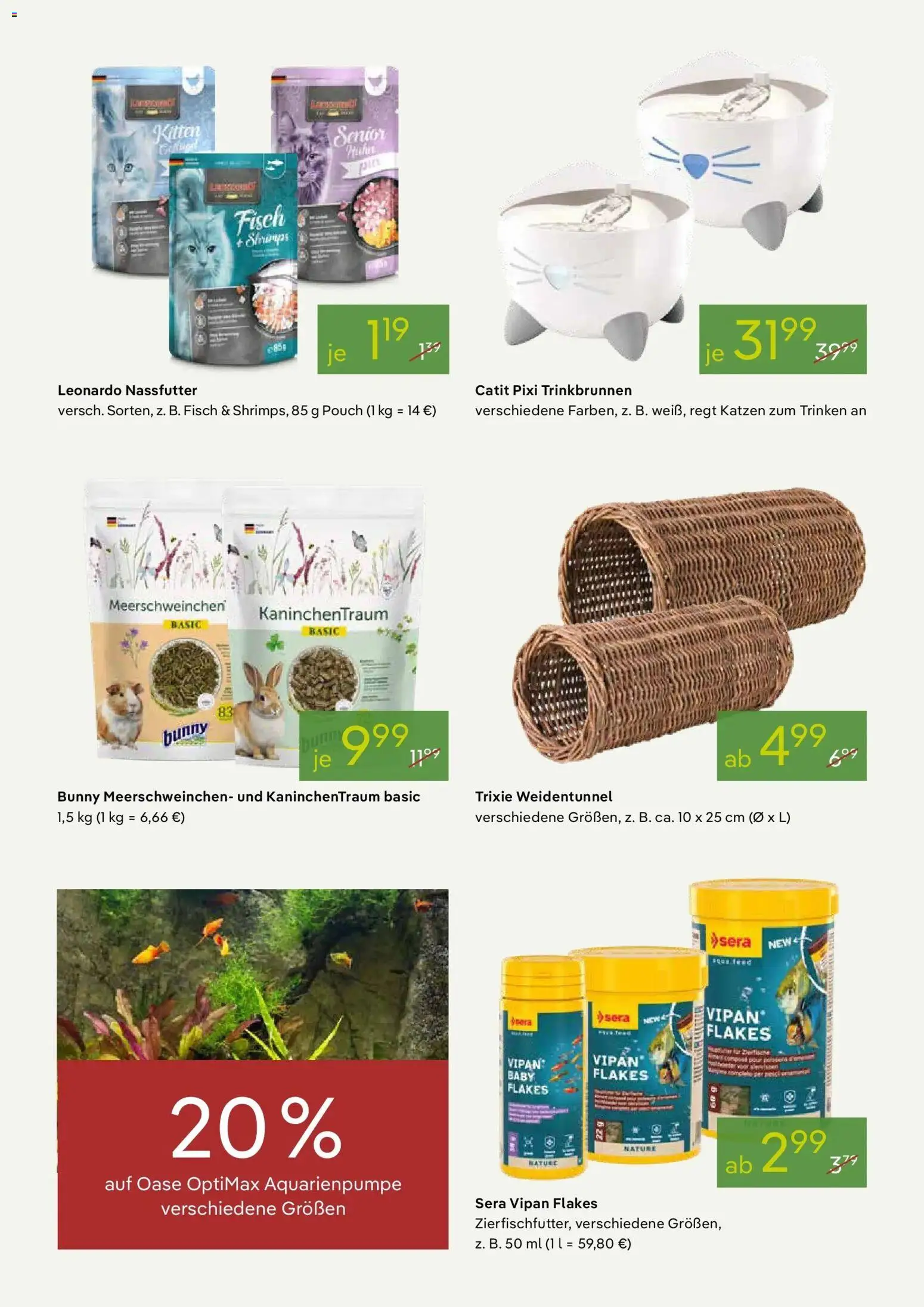 Pflanzen-Kölle - Pflanzen-Kölle: Valentinstag – gültig ab 08.02.2026 | Seite: 13