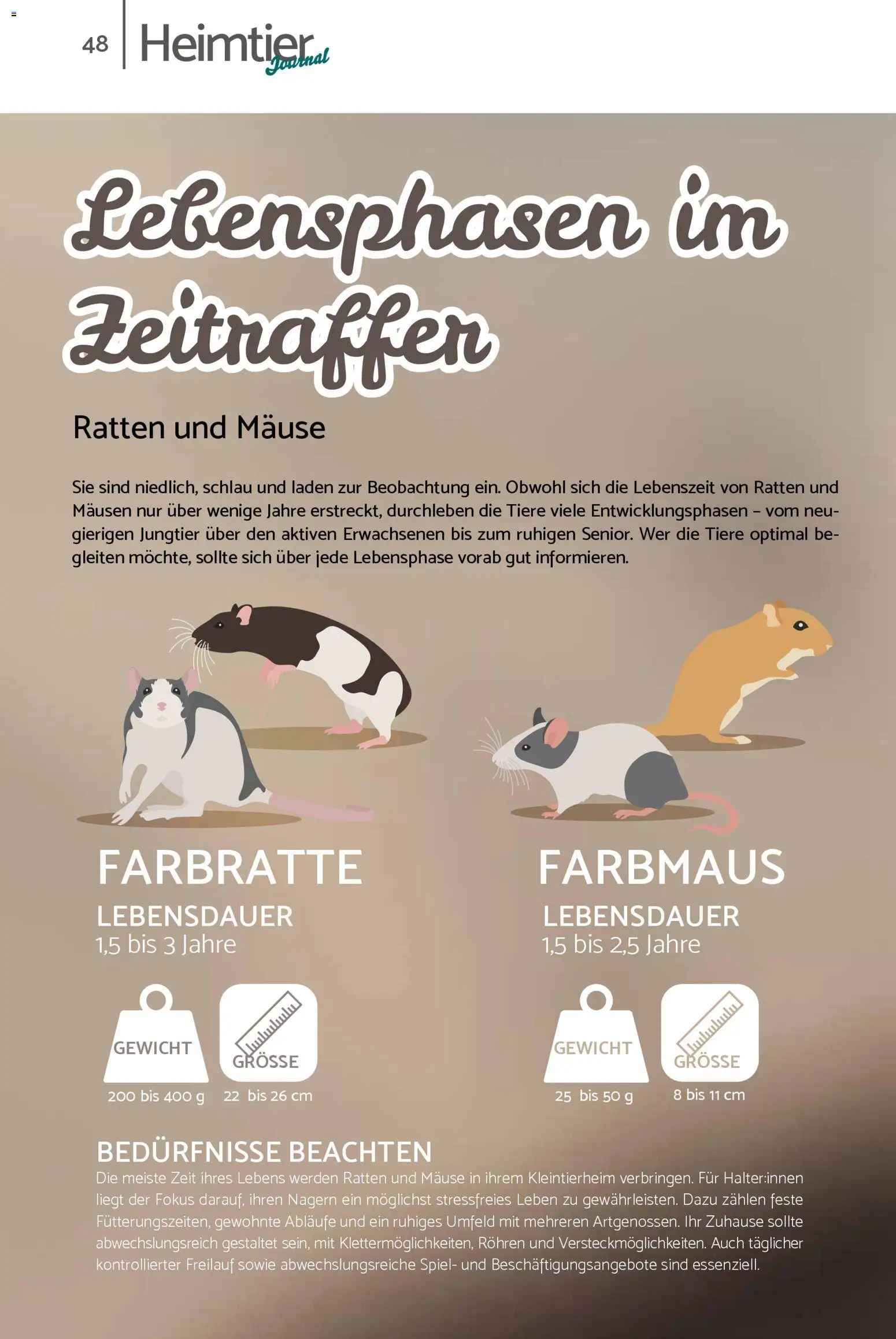 zookauf Prospekt 	 – gültig ab 01.02.2026 | Seite: 48 | Produkte: Spiel, Gewicht